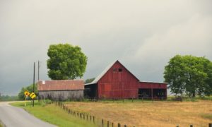 State Farm Insurance Customer Reviews: Unveiling Trust